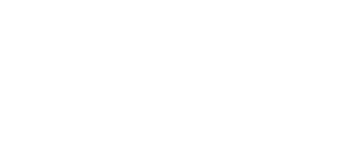 Immersive Media