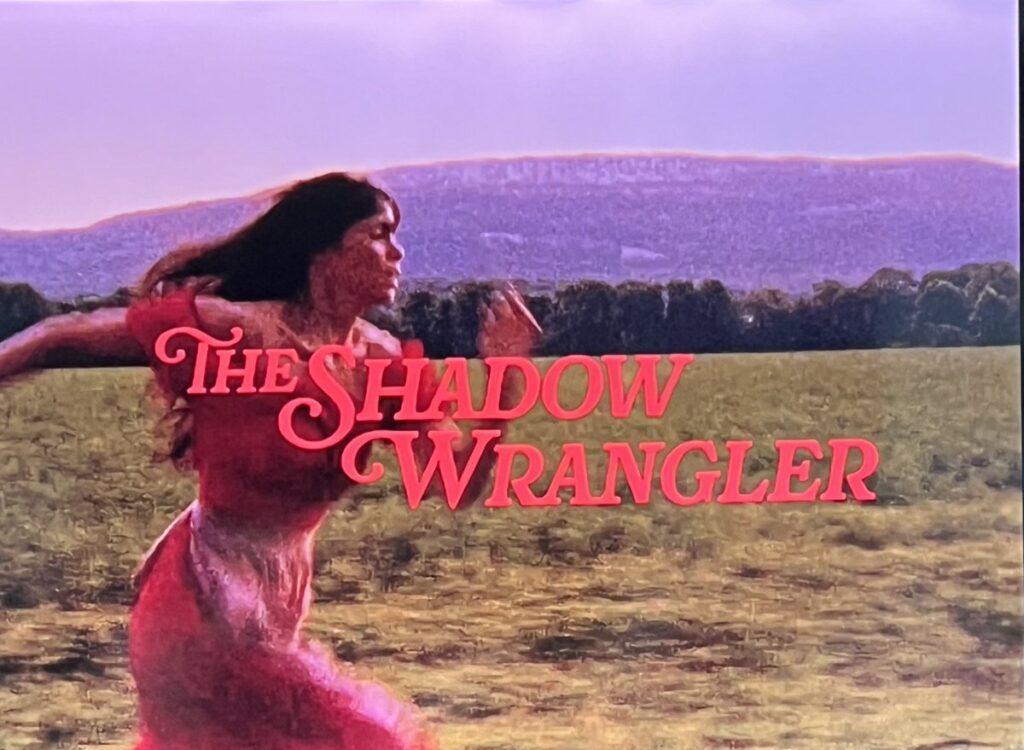 Brooklyn horror film 